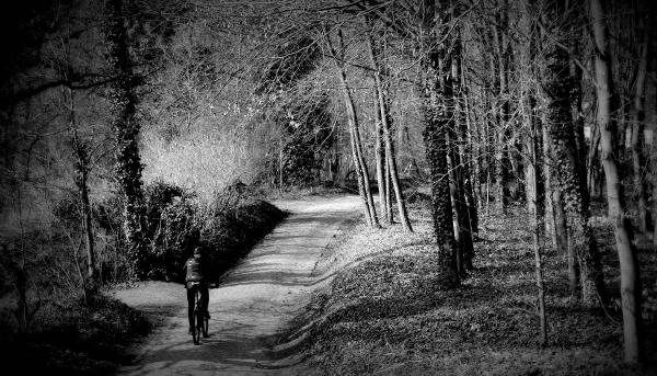 032 - Fotogroep Park-Heverlea - Dirk Dejaeghere - Biker